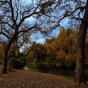 Gallery Photo 9