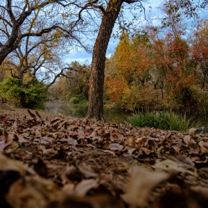 Gallery Photo 12