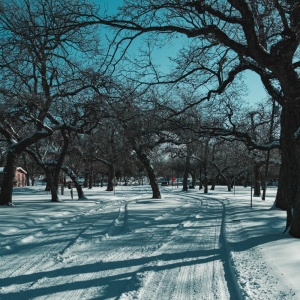Gallery Photo 10