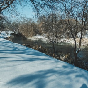 Gallery Photo 14