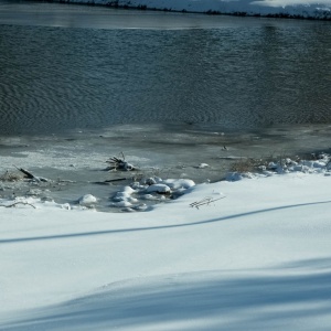 Gallery Photo 15