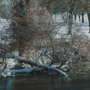 Gallery Photo 16