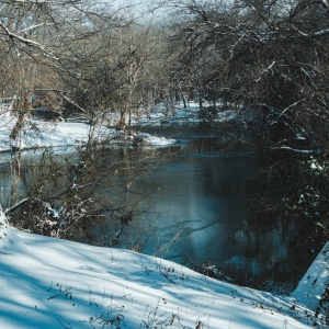 Gallery Photo 17
