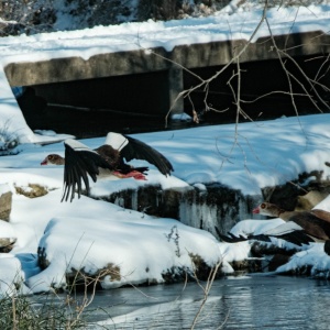 Gallery Photo 18