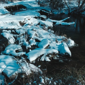 Gallery Photo 19