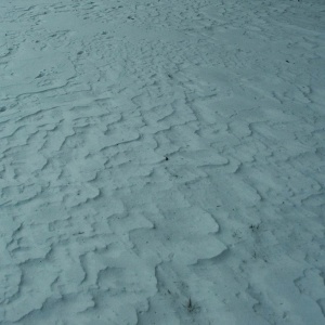 Gallery Photo 15